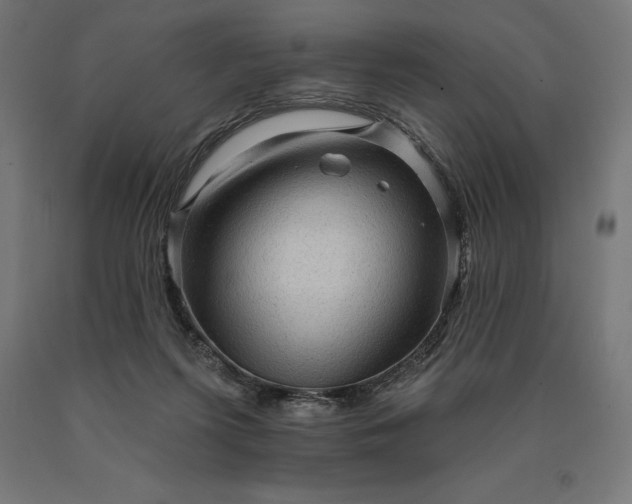 X0000090610215200707311229