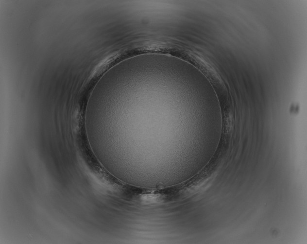 X0000090610216200707311229