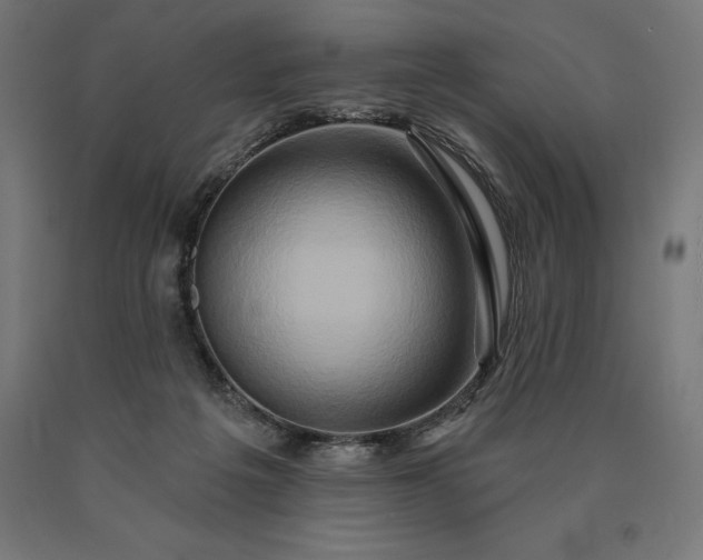 X0000090610217200707311229