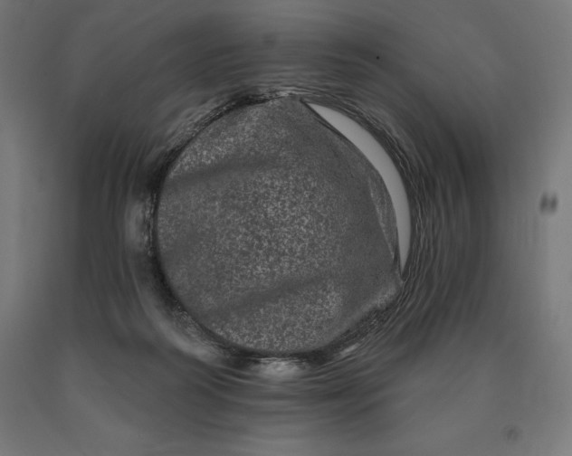 X0000090610218200707311229