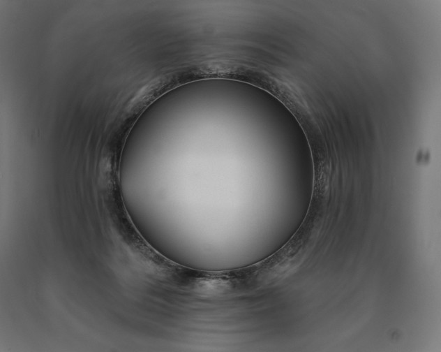 X0000090610220200707311229