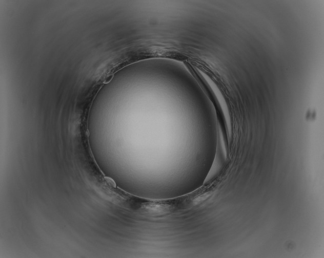 X0000090610221200707311229