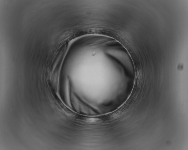 X0000090610222200707311229