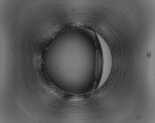 X0000090610223200707311229