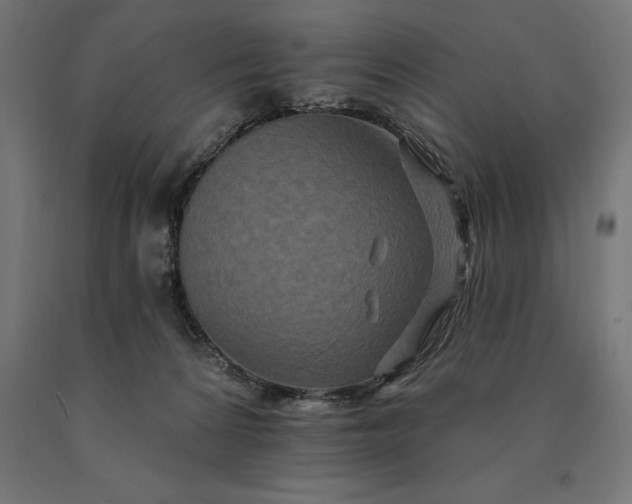 X0000090610224200707311229