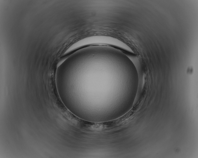 X0000090610225200707311229