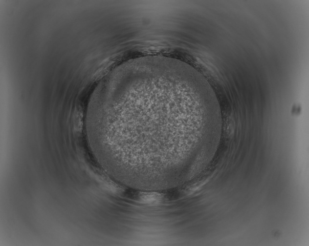 X0000090610226200707311229