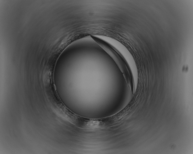 X0000090610227200707311229