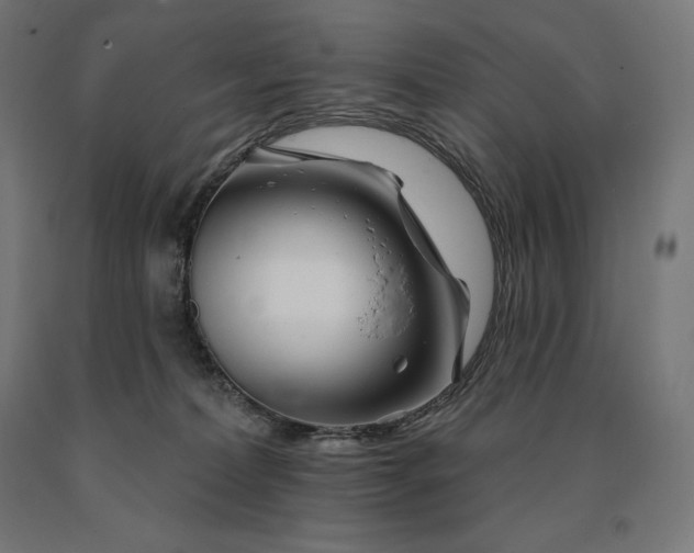 X0000090610228200707311229