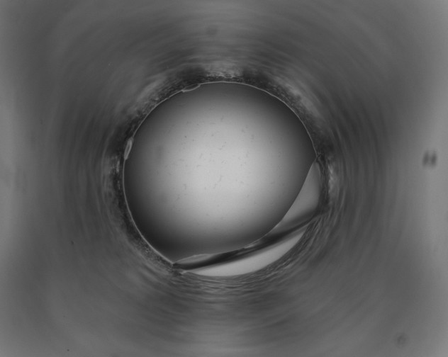 X0000090610229200707311229