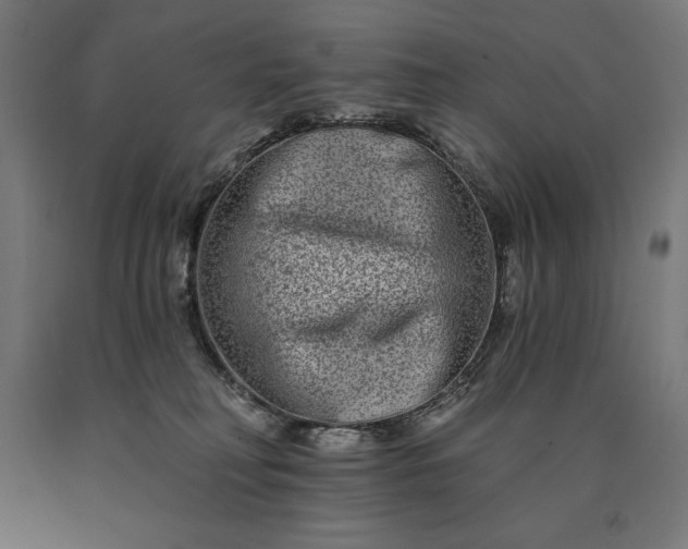 X0000090610230200707311229