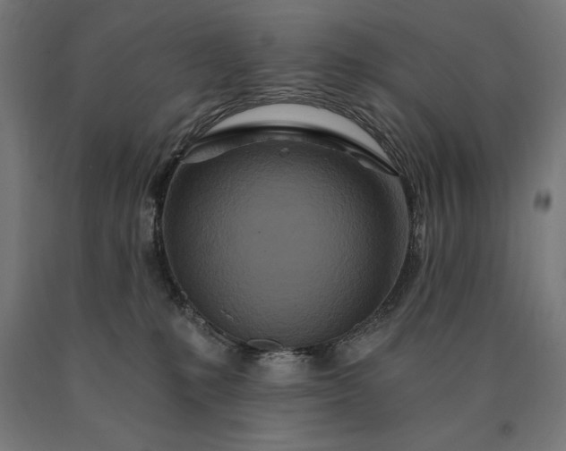 X0000090610231200707311229