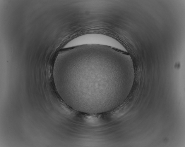 X0000090610232200707311229