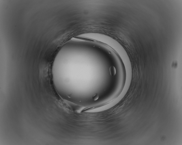 X0000090610233200707311229