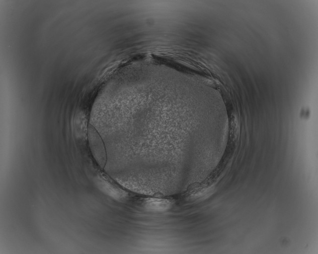 X0000090610234200707311229