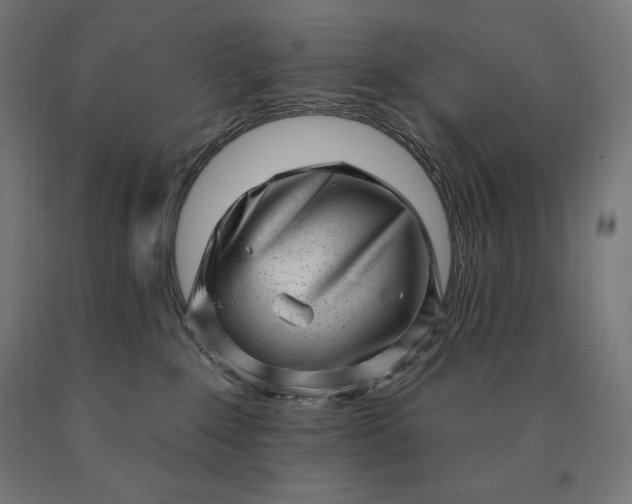 X0000090610235200707311229