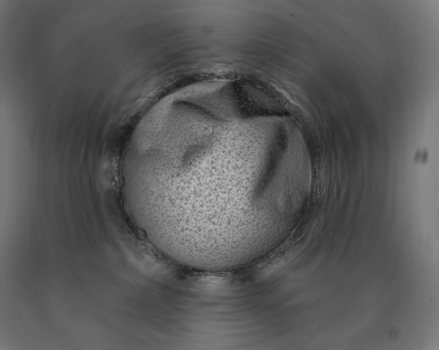 X0000090610236200707311229