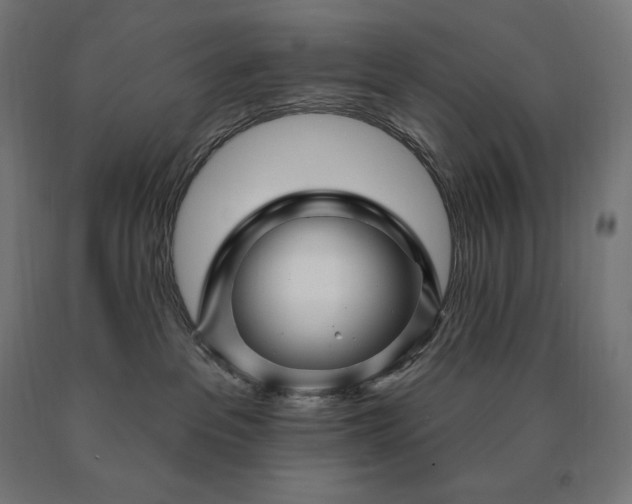 X0000090610237200707311229