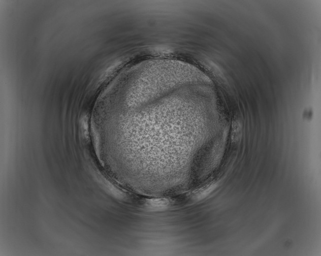 X0000090610238200707311229