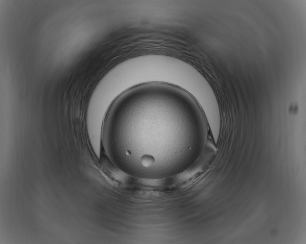 X0000090610239200707311229