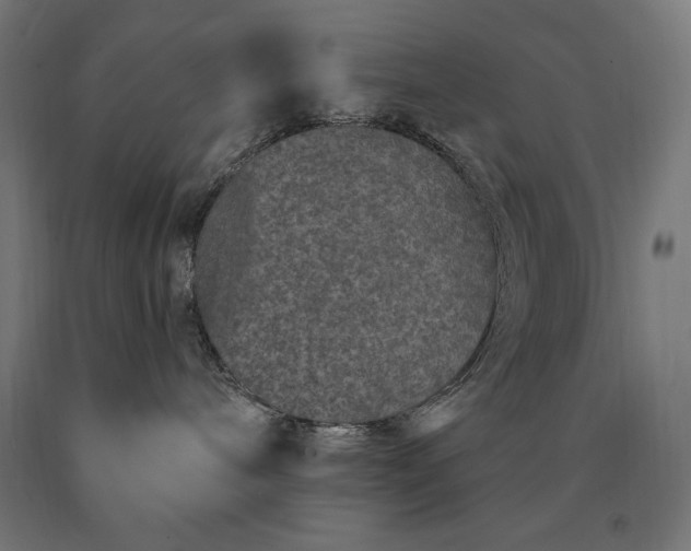 X0000090610240200707311229