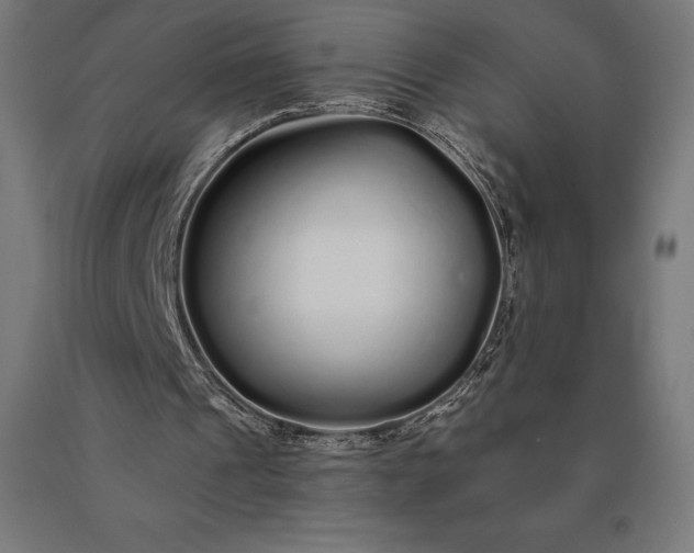 X0000090610241200707311228