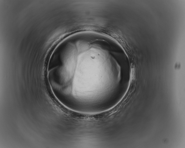 X0000090610243200707311228