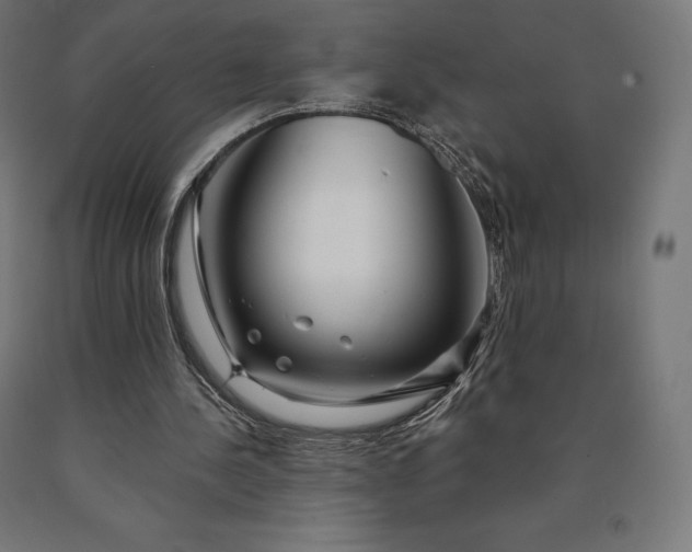 X0000090610244200707311228