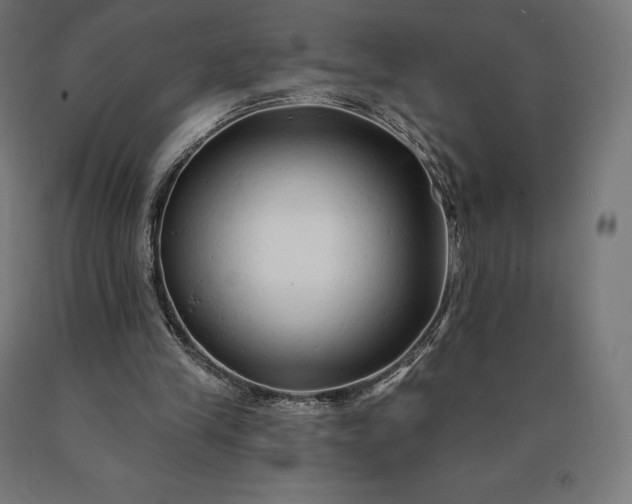 X0000090610245200707311228