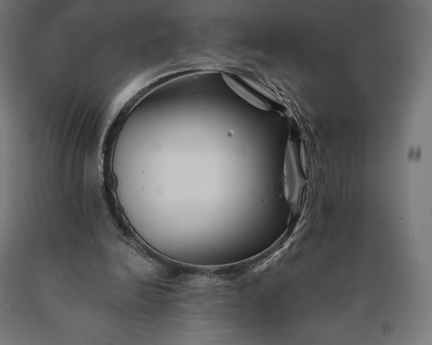 X0000090610246200707311228