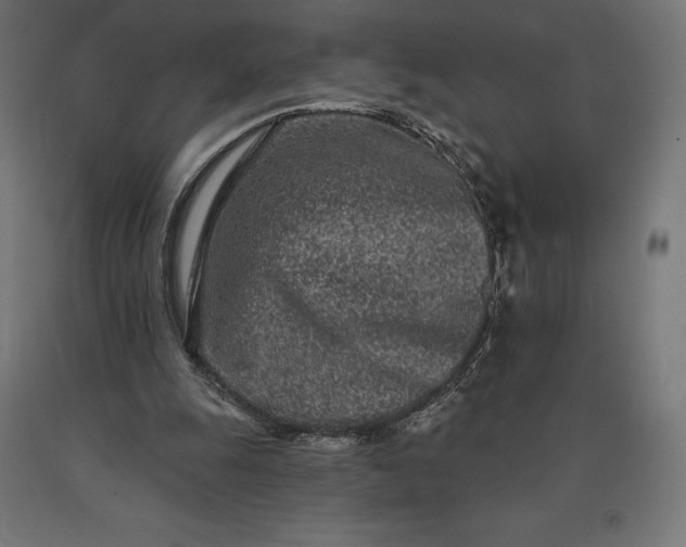 X0000090610247200707311228