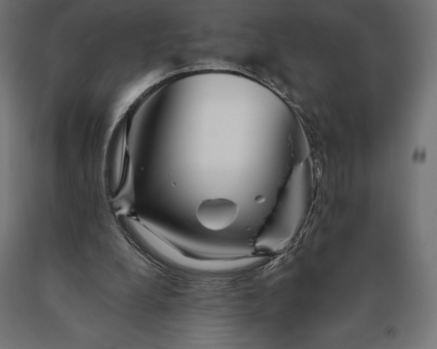 X0000090610248200707311228