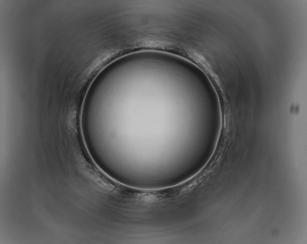 X0000090610249200707311228