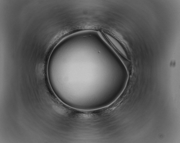 X0000090610250200707311228