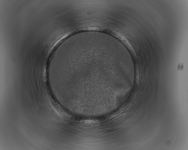 X0000090610251200707311228