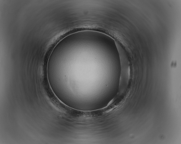 X0000090610252200707311228