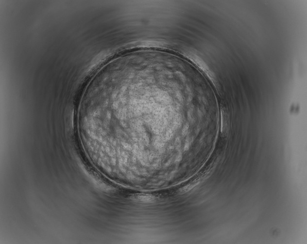 X0000090610253200707311228