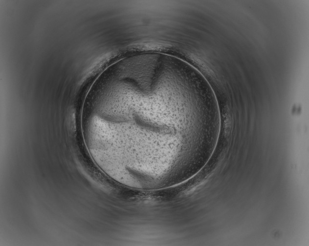 X0000090610254200707311228