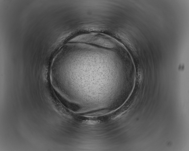 X0000090610255200707311228