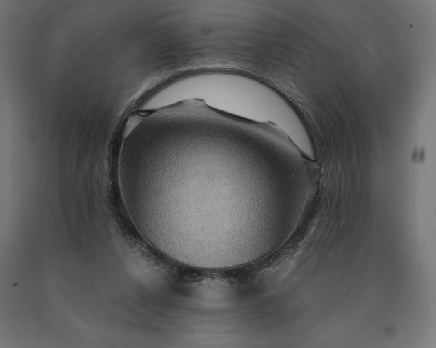 X0000090610256200707311228