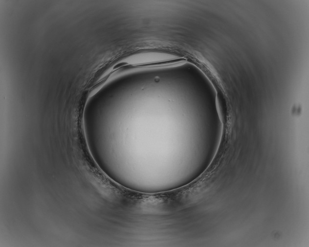 X0000090610257200707311228