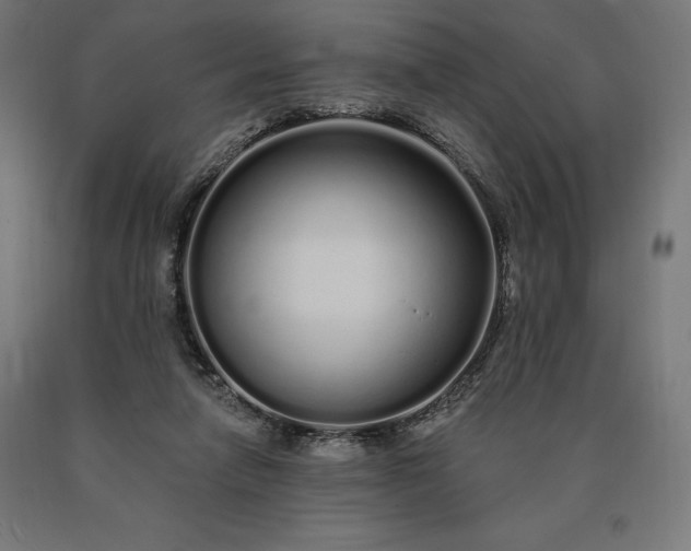 X0000090610258200707311228