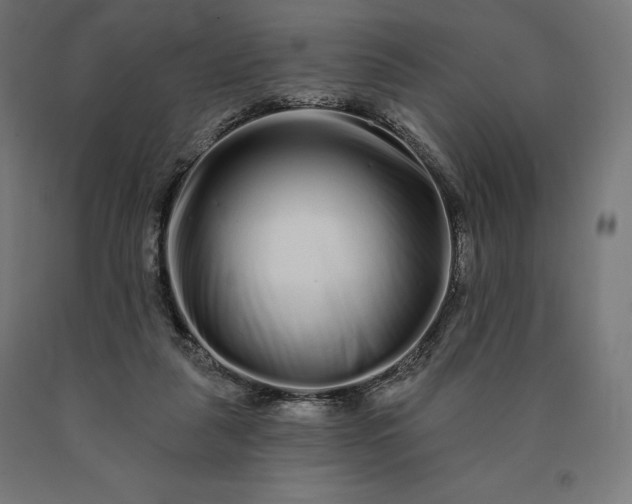 X0000090610259200707311228