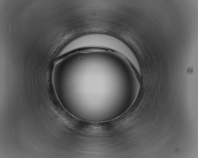 X0000090610260200707311228