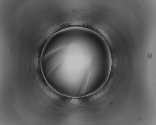 X0000090610261200707311228