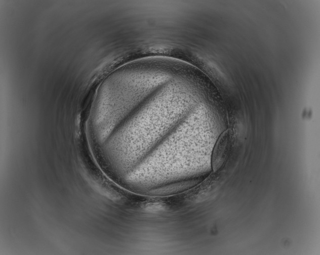 X0000090610262200707311228