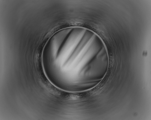 X0000090610263200707311228