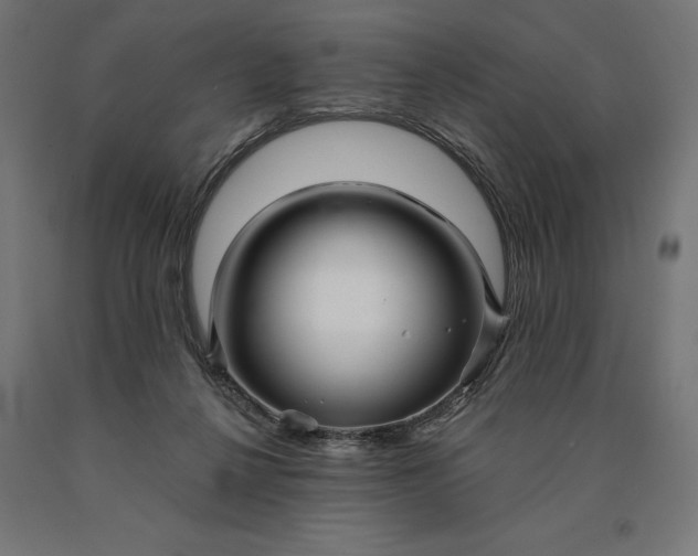 X0000090610264200707311228