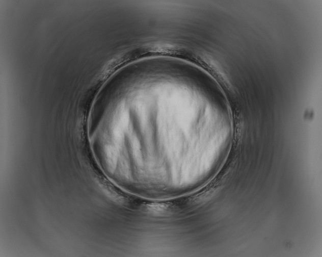 X0000090610265200707311228