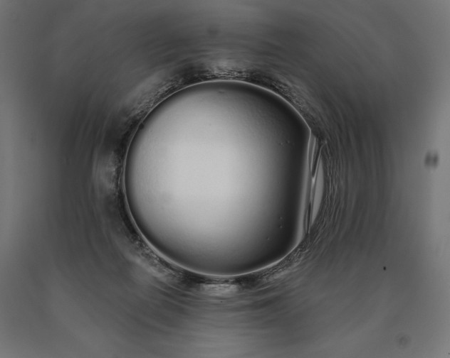 X0000090610266200707311228